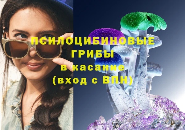 индика Верхнеуральск