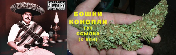 индика Верхнеуральск